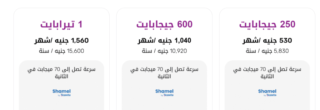 باقات ميجا WE